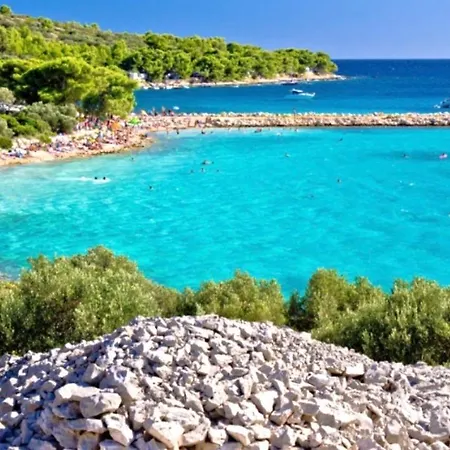 Captain Bervida * مورتير