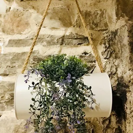 Captain Bervida * Murter