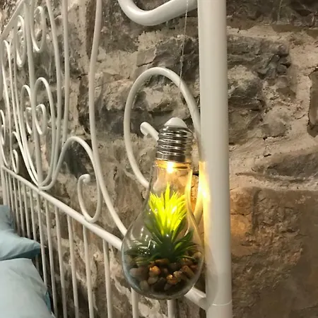 Captain Bervida Murter