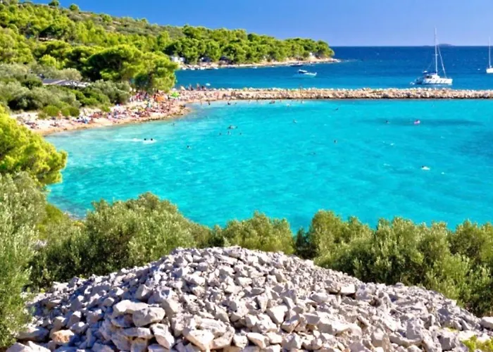 Captain Bervida * مورتير