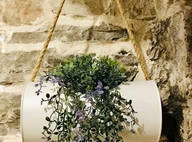 Captain Bervida * مورتير