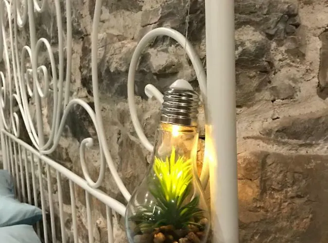 Captain Bervida مورتير