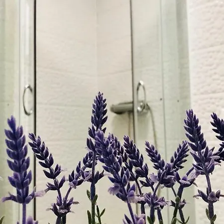 Apartment Captain Bervida *