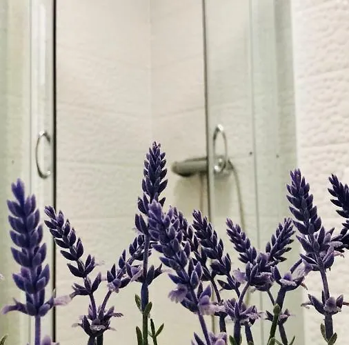 Apartamento Captain Bervida *